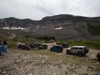 BlackBear-7687 : Ouray