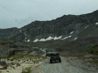 BlackBear-7695 : Ouray