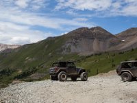 BlackBear-7704 : Ouray