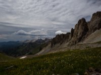 BlackBear-7708 : Ouray