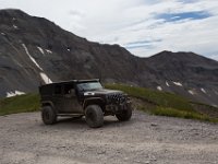 BlackBear-7710 : Ouray