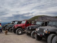 BlackBear-7730 : Ouray