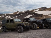 BlackBear-7731 : Ouray