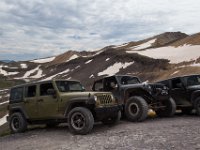 BlackBear-7732 : Ouray