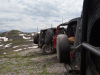 BlackBear-7734 : Ouray