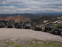 BlackBear-7743 : Ouray