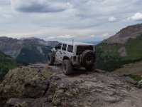 BlackBear-7776 : Ouray