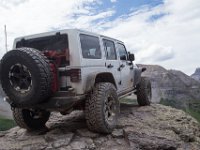 BlackBear-7782 : Ouray