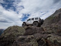 BlackBear-7784 : Ouray