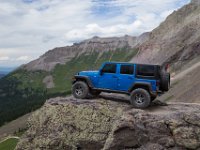 BlackBear-7791 : Ouray