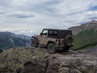 BlackBear-7802 : Ouray