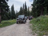 BlackBear-7828 : Ouray