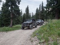 BlackBear-7831 : Ouray