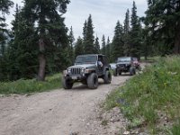 BlackBear-7833 : Ouray