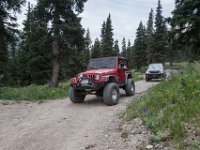 BlackBear-7838 : Ouray