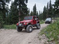 BlackBear-7839 : Ouray