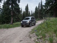 BlackBear-7840 : Ouray