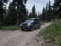 BlackBear-7841 : Ouray