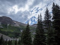 BlackBear-7842 : Ouray