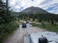 BlackBear-7844 : Ouray