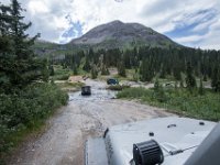 BlackBear-7846 : Ouray