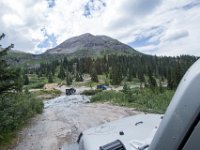 BlackBear-7847 : Ouray