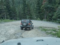 BlackBear-7848 : Ouray