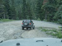 BlackBear-7849 : Ouray