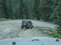 BlackBear-7850 : Ouray