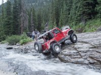 BlackBear-7851 : Ouray