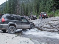 BlackBear-7856 : Ouray