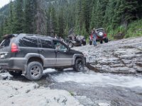 BlackBear-7857 : Ouray