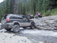 BlackBear-7858 : Ouray