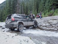 BlackBear-7860 : Ouray