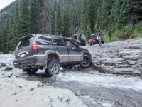 BlackBear-7861 : Ouray