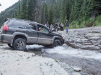 BlackBear-7864 : Ouray