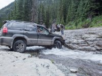 BlackBear-7865 : Ouray