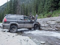 BlackBear-7867 : Ouray