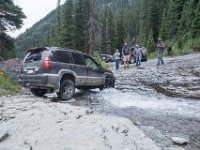 BlackBear-7868 : Ouray