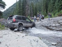 BlackBear-7869 : Ouray