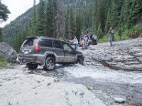 BlackBear-7871 : Ouray