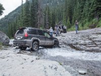 BlackBear-7872 : Ouray