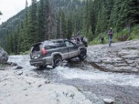 BlackBear-7875 : Ouray