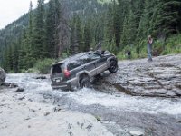 BlackBear-7877 : Ouray