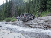 BlackBear-7880 : Ouray