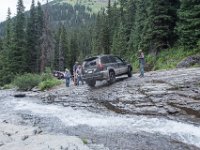 BlackBear-7881 : Ouray