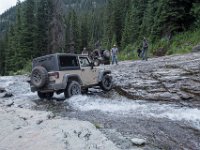 BlackBear-7885 : Ouray