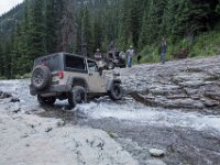 BlackBear-7890 : Ouray