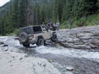 BlackBear-7892 : Ouray