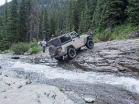 BlackBear-7896 : Ouray